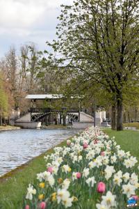 Printemps 2021 - 182