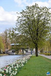 Printemps 2021 - 183