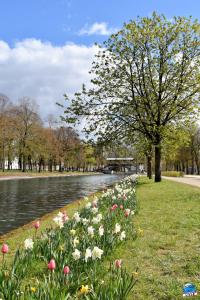 Printemps 2021 - 184