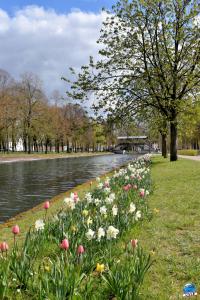 Printemps 2021 - 185