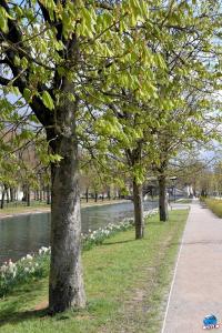Printemps 2021 - 186