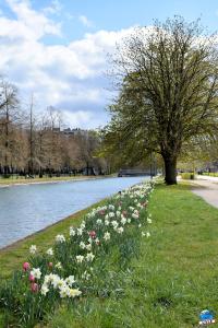 Printemps 2021 - 191