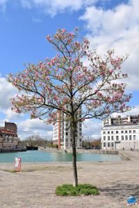 Printemps 2021 - 192