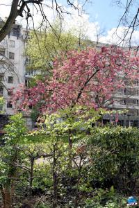 Printemps 2021 - 194