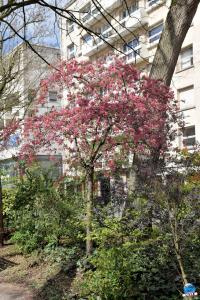 Printemps 2021 - 195
