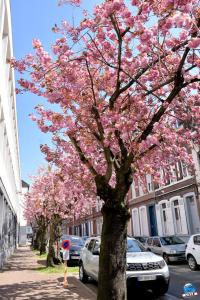 Printemps 2021 - 196