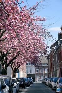 Printemps 2021 - 197