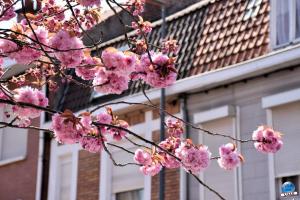 Printemps 2021 - 198