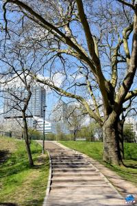 Printemps 2021 - 203