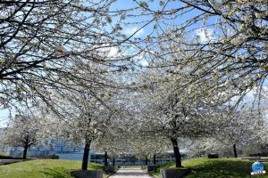 Printemps 2021 - 204