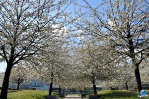 Printemps 2021 - 205