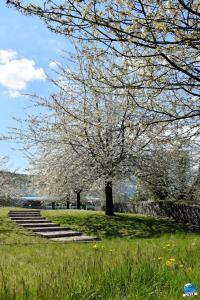 Printemps 2021 - 206