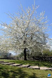 Printemps 2021 - 208
