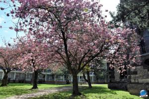Printemps 2021 - 213