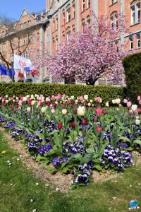 Printemps 2021 - 216