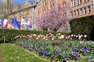 Printemps 2021 - 218