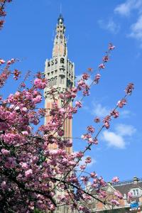 Printemps 2021 - 220