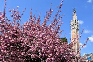 Printemps 2021 - 221