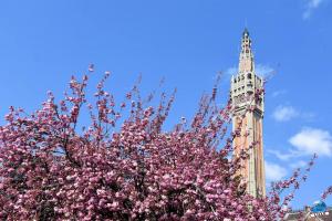 Printemps 2021 - 222