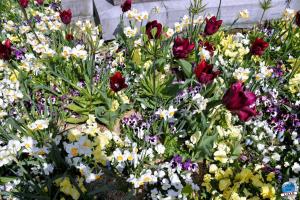 Printemps 2021 - 223