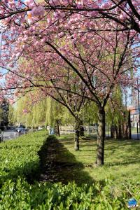 Printemps 2021 - 228