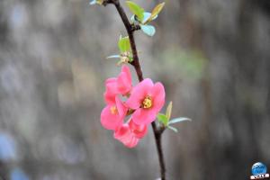Printemps 2021 - 23