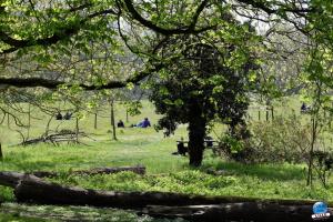 Printemps 2021 - 233
