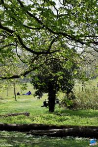 Printemps 2021 - 234
