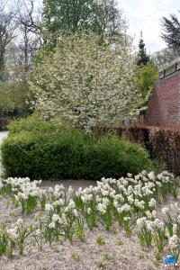 Printemps 2021 - 236