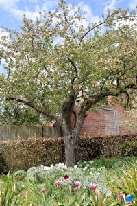 Printemps 2021 - 238