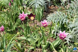 Printemps 2021 - 239