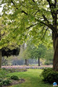 Printemps 2021 - 243
