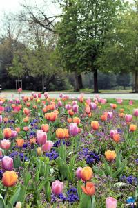 Printemps 2021 - 245