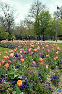 Printemps 2021 - 246
