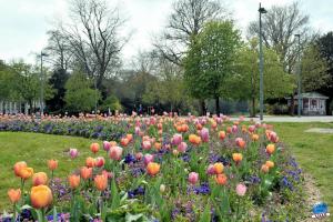 Printemps 2021 - 247