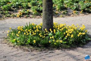 Printemps 2021 - 25
