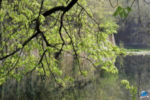 Printemps 2021 - 251