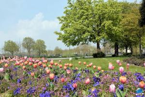 Printemps 2021 - 253
