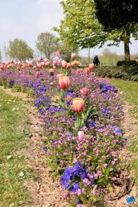 Printemps 2021 - 254