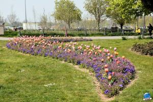 Printemps 2021 - 255