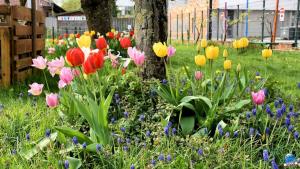 Printemps 2021 - 257