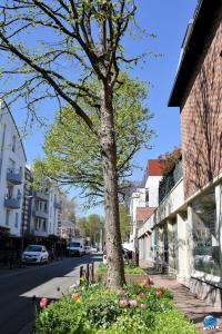 Printemps 2021 - 259