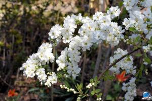 Printemps 2021 - 269