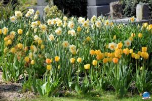 Printemps 2021 - 270
