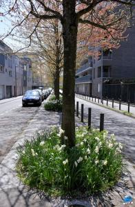 Printemps 2021 - 283