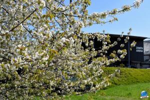 Printemps 2021 - 284