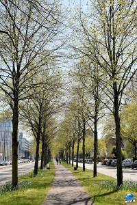 Printemps 2021 - 286