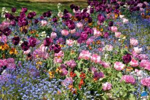 Printemps 2021 - 288