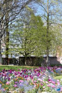 Printemps 2021 - 289