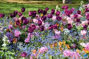 Printemps 2021 - 290